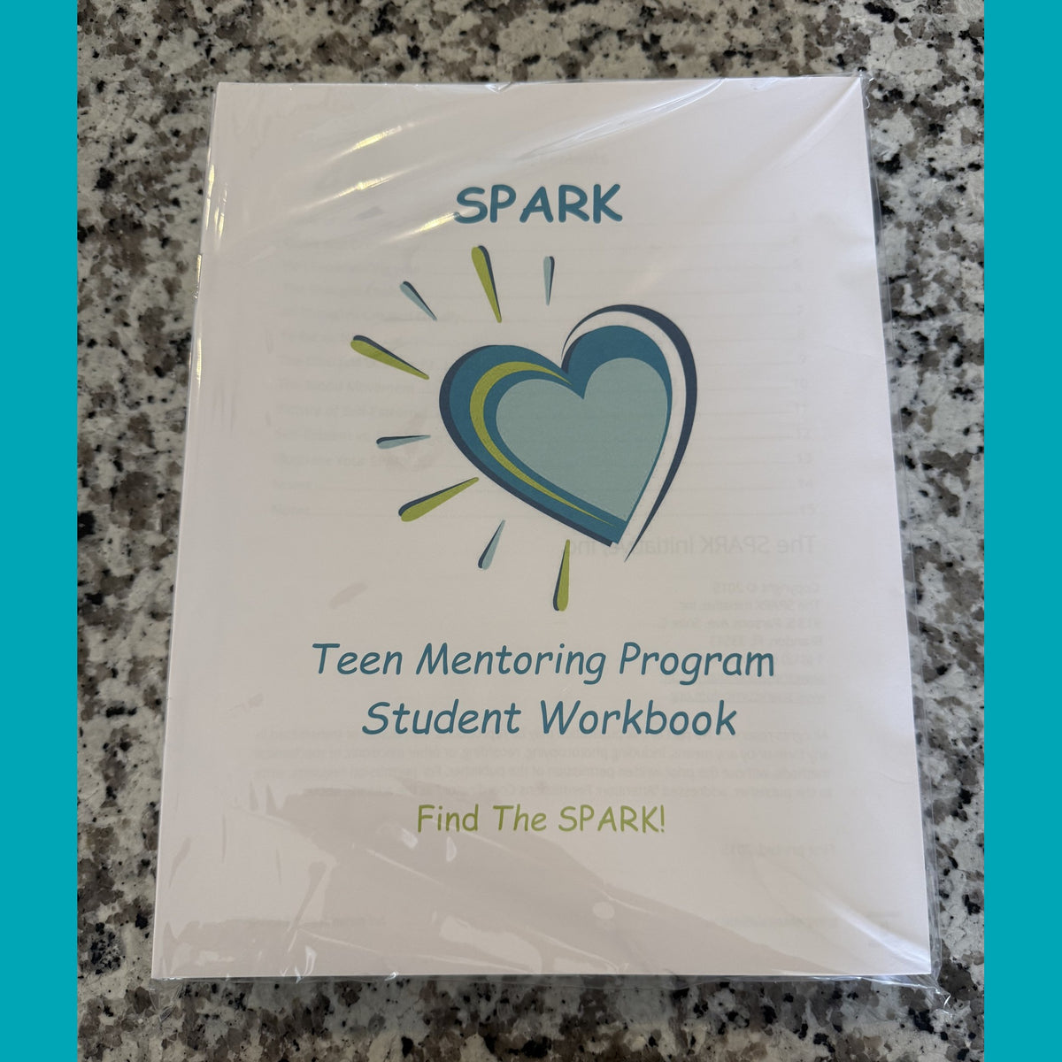 Homework Booksteenagers Teen (High School) Workbooks (Set of 25) English & Spanish – The Spark Shop