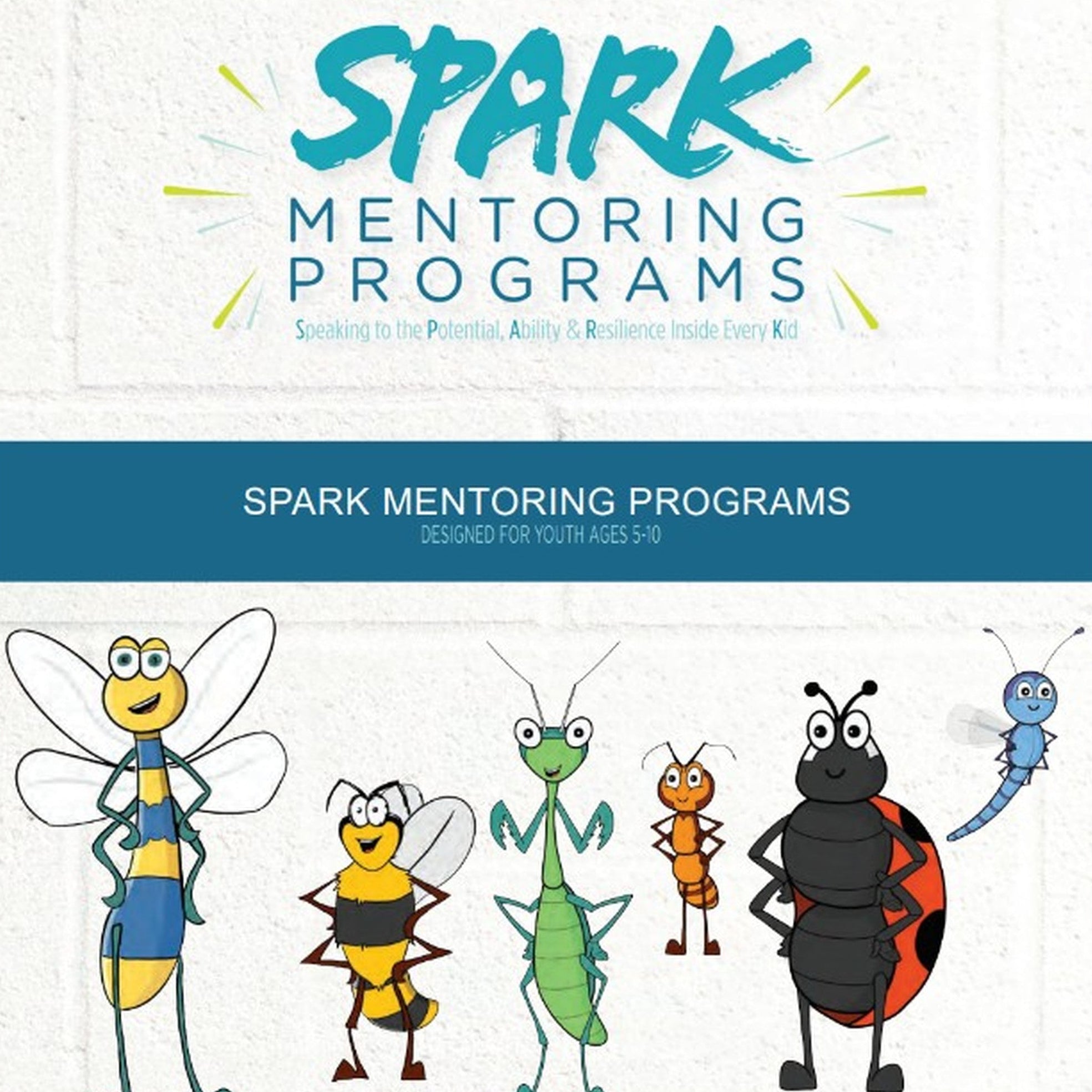 SPARK Young Child (K–2nd Grade) Curriculum License