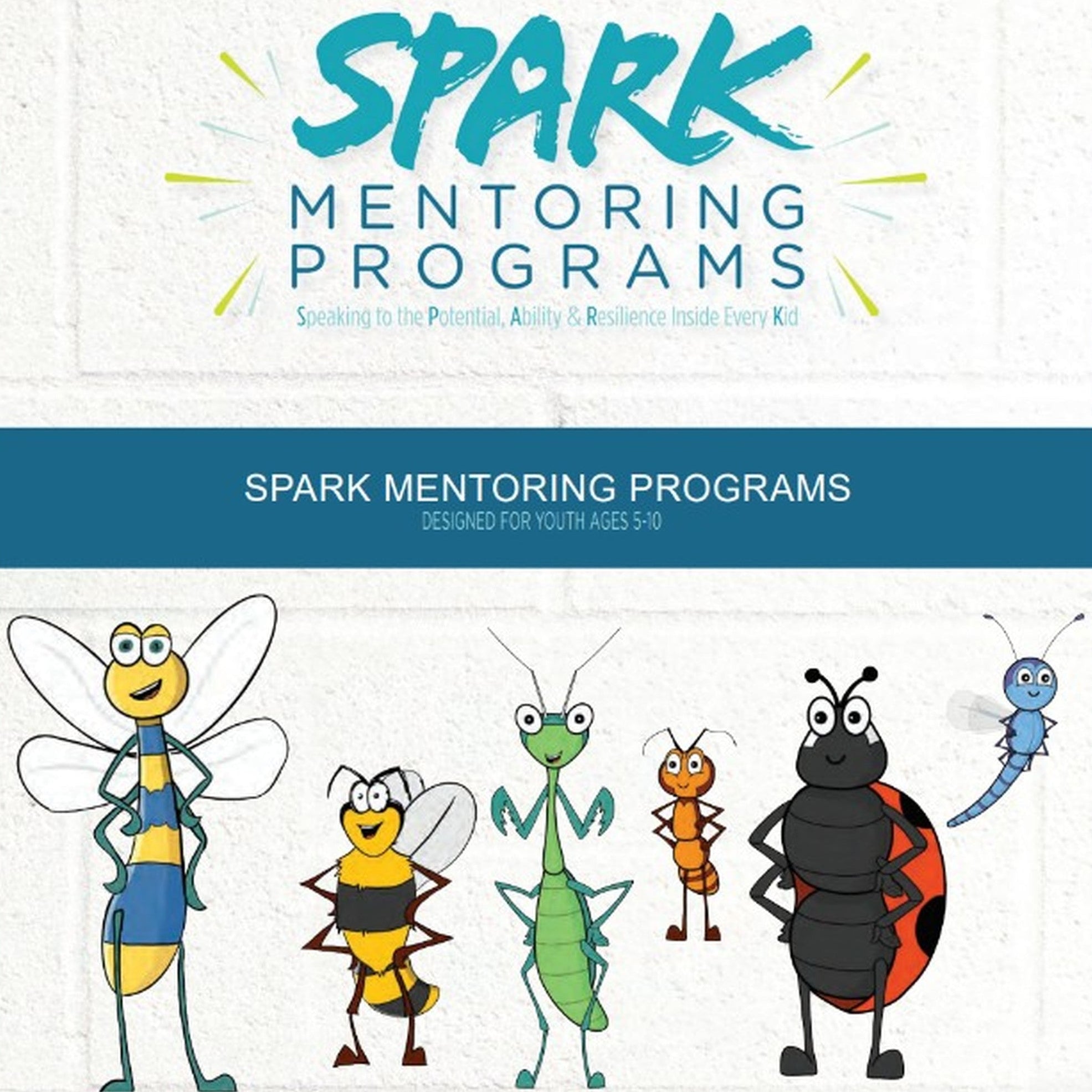 SPARK Young Child (K–2nd Grade) Curriculum License Renewal