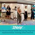 In-Person/Virtual SPARK Mentoring Programs Implementation Training (Client Hosted)