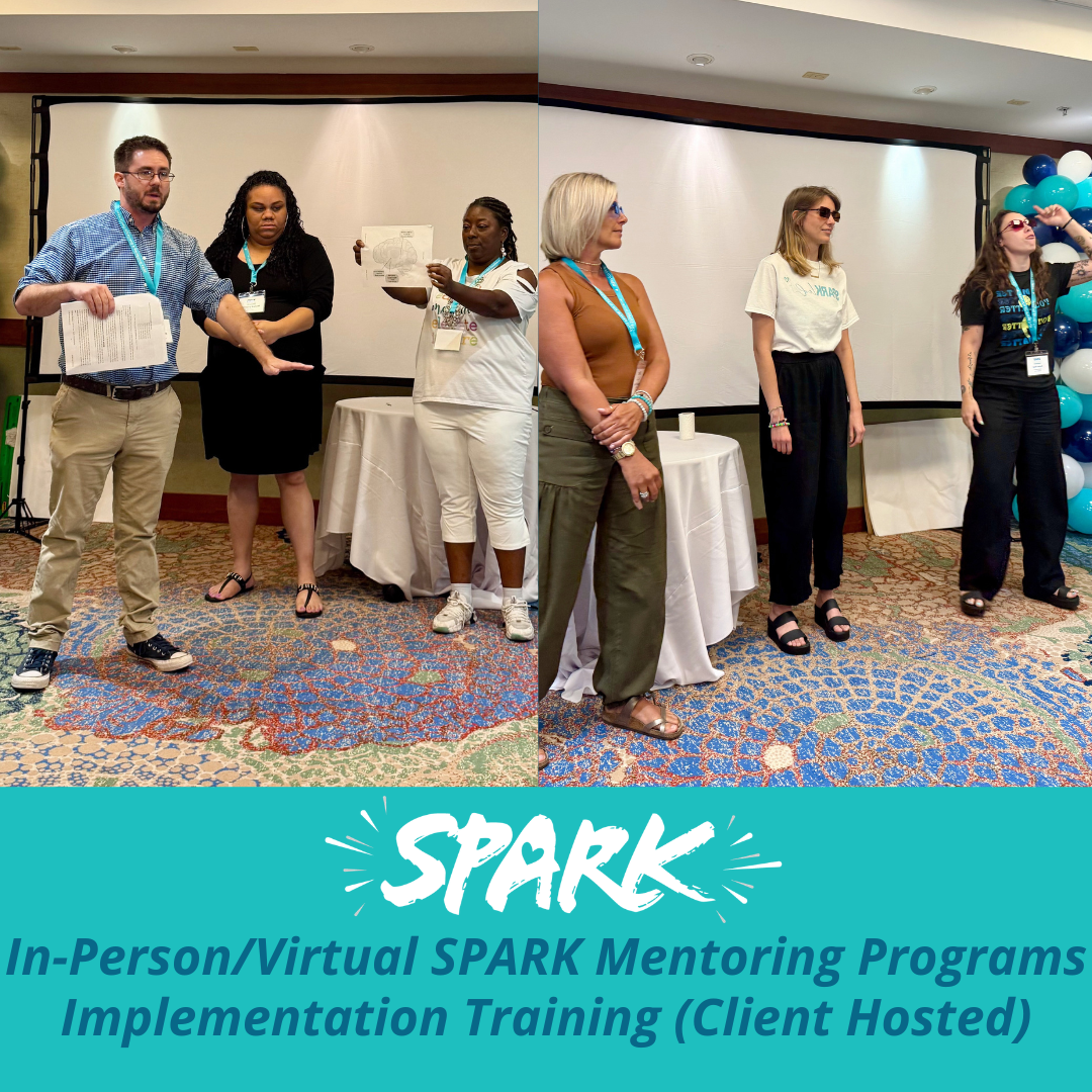 In-Person/Virtual SPARK Mentoring Programs Implementation Training (Client Hosted)