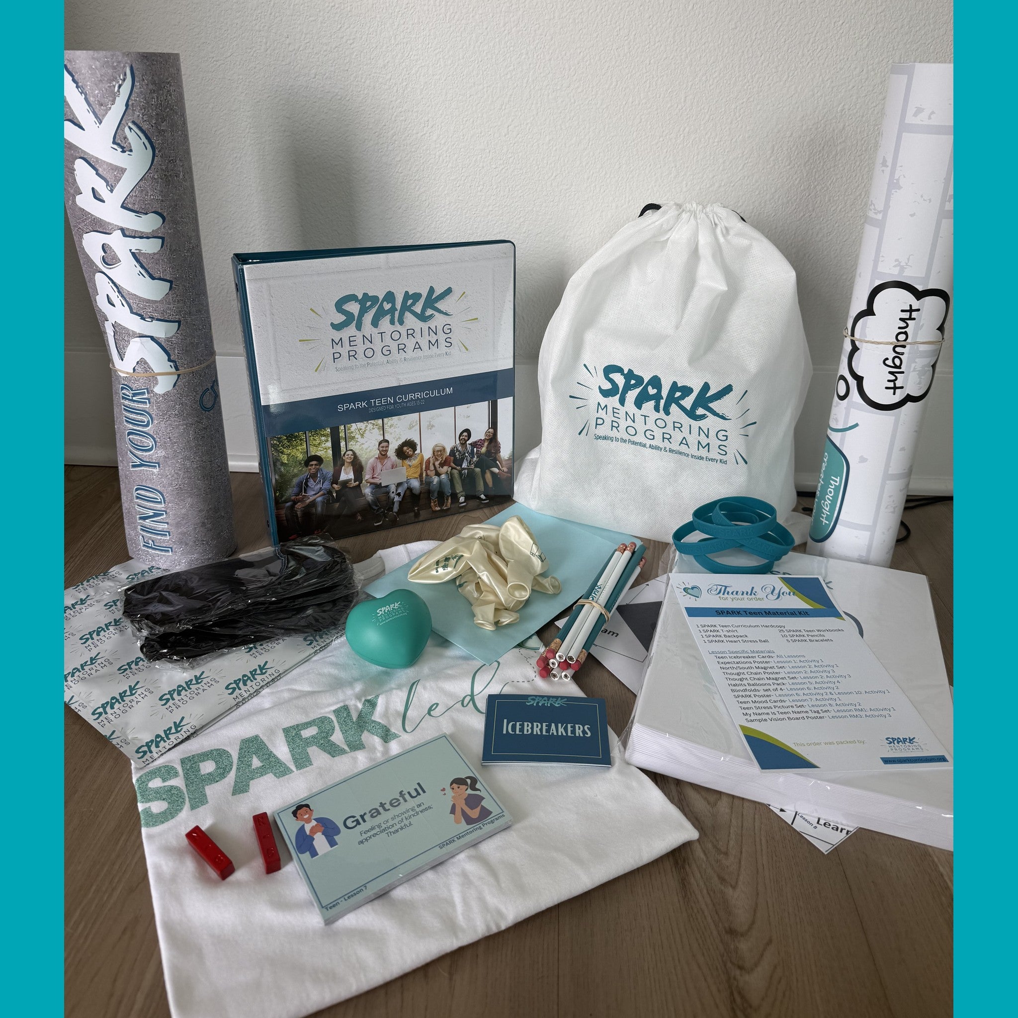 SPARK Teen (High School) Curriculum License