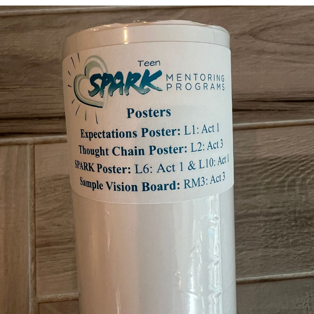 SPARK Mentoring Poster Set: Teen (High School), English & Spanish