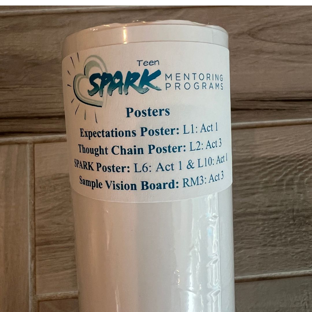 SPARK Mentoring Poster Set: Teen (High School), English & Spanish