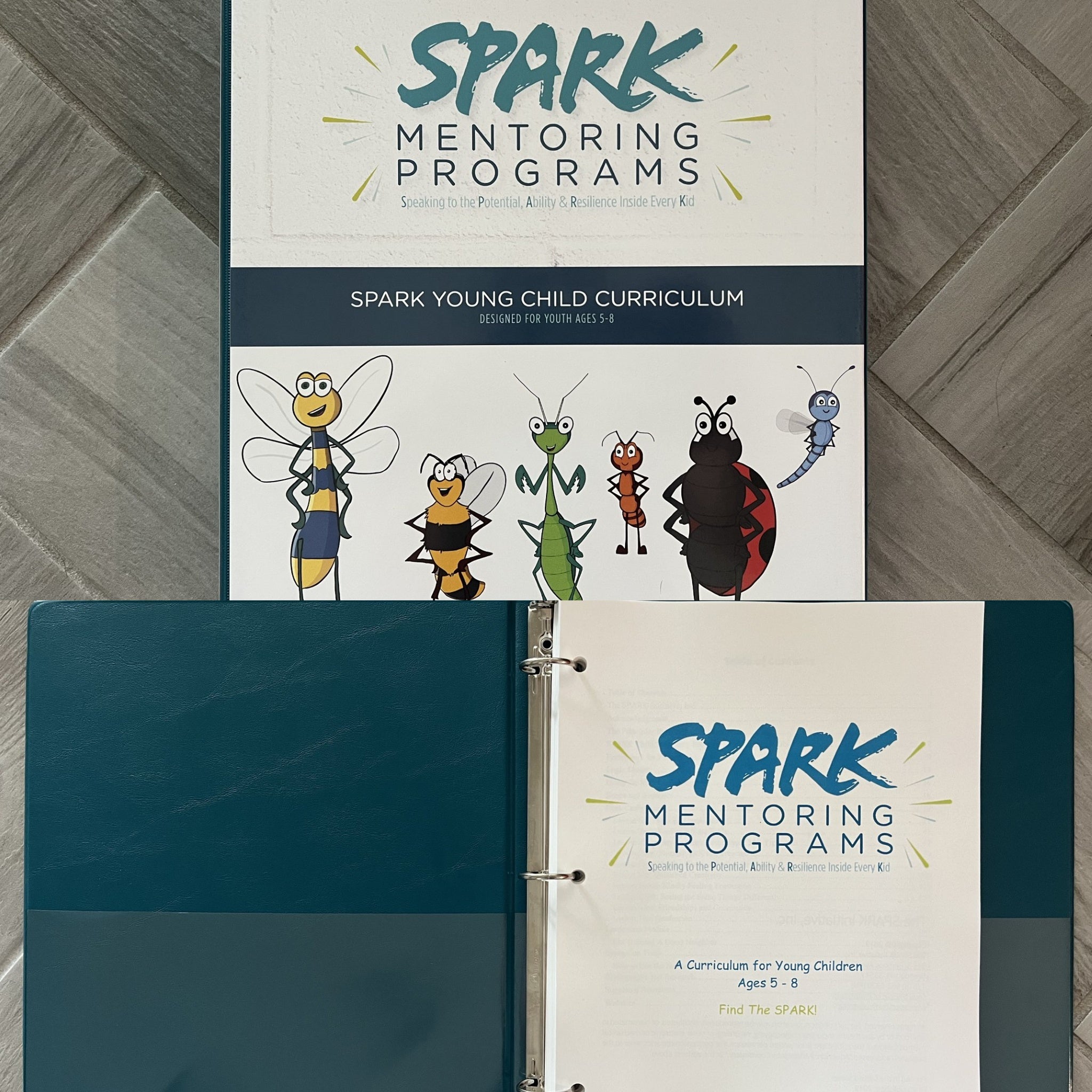 Young Child: Hard Copy of Curriculum in Binder
